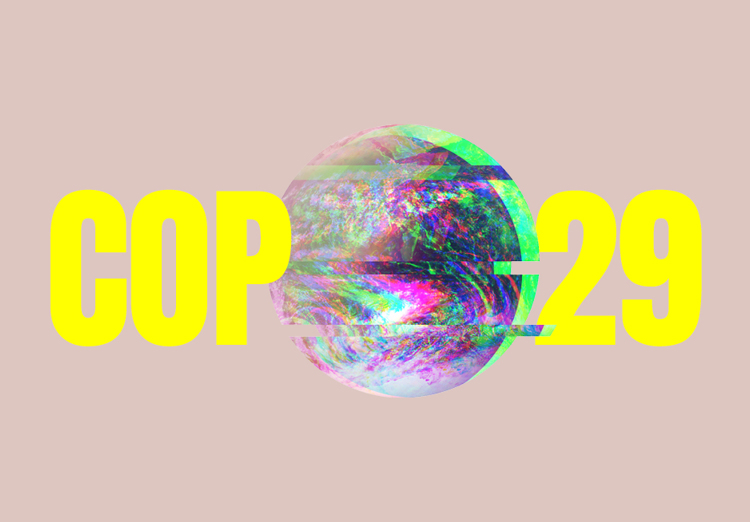 COP 29