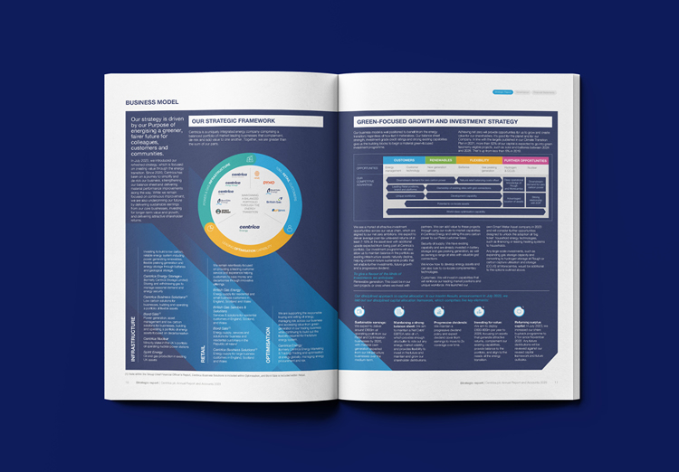 Centrica Casestudy Website7