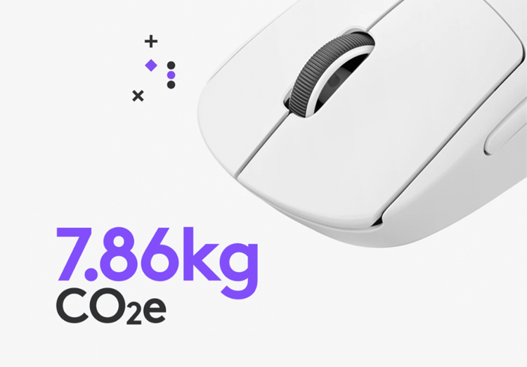 Mouse