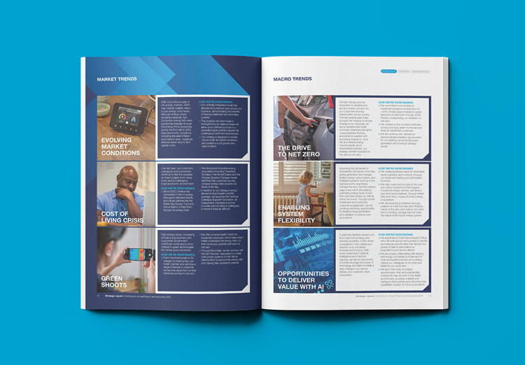 Centrica Casestudy Website6